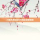 三国杀黄忠高手技能深度解析