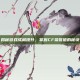 揭秘游戏成就提升，掌握CF荣誉值的秘诀