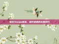 优化Steam体验，提升速度的实用技巧