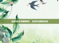 绝地求生界面翻译,游戏沟通的桥梁