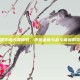 英雄联盟手游天煞特效，视觉盛宴与战斗体验的完美融合