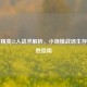 和平精英32人战术解析，小规模战场生存与制胜指南