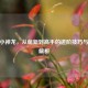 CSGO小神龙，从萌新到高手的进阶技巧与玩法解析