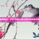 深海幽灵，TNT沉船之谜与现代科技的较量
