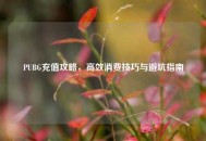 PUBG充值攻略，高效消费技巧与避坑指南