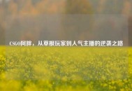 CSGO阿胖，从草根玩家到人气主播的逆袭之路
