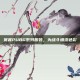 赛睿PUBG系列服装，为战斗增添色彩