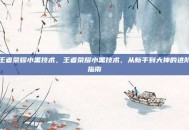 王者荣耀小黑技术，王者荣耀小黑技术，从新手到大神的进阶指南
