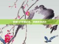 掌握CF交易记录，洞悉市场动态