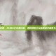 pubg云设置，PUBG云设置详解，如何调整云朵画质提升帧数与视觉体验