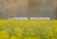 Steam卢布充值攻略，多种方法轻松获取