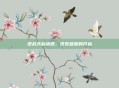 逆战天启皮肤，视觉盛宴的开启