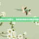 我叫mt口袋巴士，随时随地畅享经典游戏世界