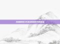 沙滩排球3与乳液游戏下载体验