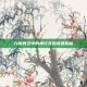 九阴真经中的神行无踪奇遇揭秘