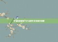 王者荣耀张飞5级符文搭配攻略