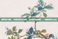 如何选马桶，马桶选购全攻略，从坑距到釉面，一篇看懂怎么选