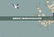 盗版游戏三国志民夫引发社会关注