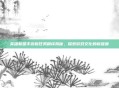 英雄联盟手游新任务翻译揭秘，探索游戏文化的新维度