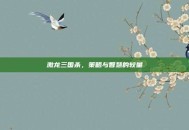 激龙三国杀，策略与智慧的较量