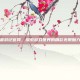 最游记官网，探索游戏世界的精彩无限魅力