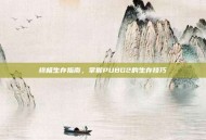 终极生存指南，掌握PUBG2的生存技巧