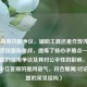 CSGO高亮功能争议，辅助工具还是作弊外挂？公平竞技面临挑战，提炼了核心矛盾点——高亮功能的滥用争议及其对公平性的影响，同时保持中立客观的提问语气，符合新闻/讨论类标题的常见结构）