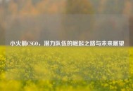 小火箭CSGO，潜力队伍的崛起之路与未来展望