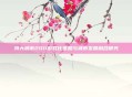 特大城市2011游戏化策略与城市发展融合研究
