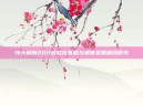 特大城市2011游戏化策略与城市发展融合研究
