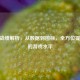 CSGO战绩解析，从数据到图标，全方位提升你的游戏水平