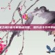 光明之魂2格斗家加点攻略，提升战斗效率的秘诀