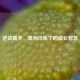 逆战暮冬，凛冽淬炼下的成长智慧