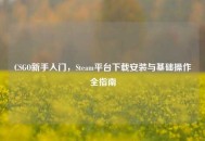 CSGO新手入门，Steam平台下载安装与基础操作全指南