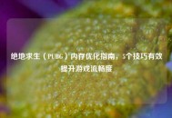 绝地求生（PUBG）内存优化指南，5个技巧有效提升游戏流畅度