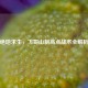 绝地求生，飞哥山制高点战术全解析