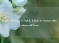 Decoding CF Names in English: A Guide to Common Abbreviations and Terms