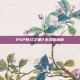 PSP梦幻之星2全攻略指南