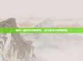 暗影一直存在攻略指南，深入探索与策略应用