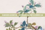 王者荣耀宫本武藏归来，游戏更新背后的策略与玩家期待分析