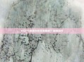 PSP3是否存在完美破解？深度探讨