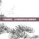 子夏的智慧，古代智者的生活与思想探索