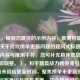 （注，根据您提供的示例内容，推测可能需要一个关于游戏榜单更新问题的疑问式标题。若实际内容与推测不符，您可补充具体信息，我将立即调整。），和平精英战力榜停滞引争议，官方未回应更新时间，聚焦榜单未更新现象，包含玩家争议与官方态度，符合热点讨论需求。如需调整侧重点，请提供更多细节。）