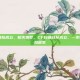 cf白鲨战队成立，枪火燃梦，CF白鲨战队成立，一支传奇的悄然诞生