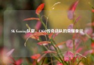 SK Gaming队徽，CSGO传奇战队的荣耀象征