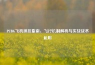 PUBG飞机操控指南，飞行机制解析与实战战术运用