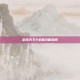 足球天下2全面攻略指南