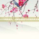 CSGO阴间模式，隐藏的秘密与玩家的真实体验