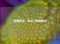 战霸四字，男生CF昵称精选