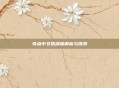 奇点中文版深度解析与探索